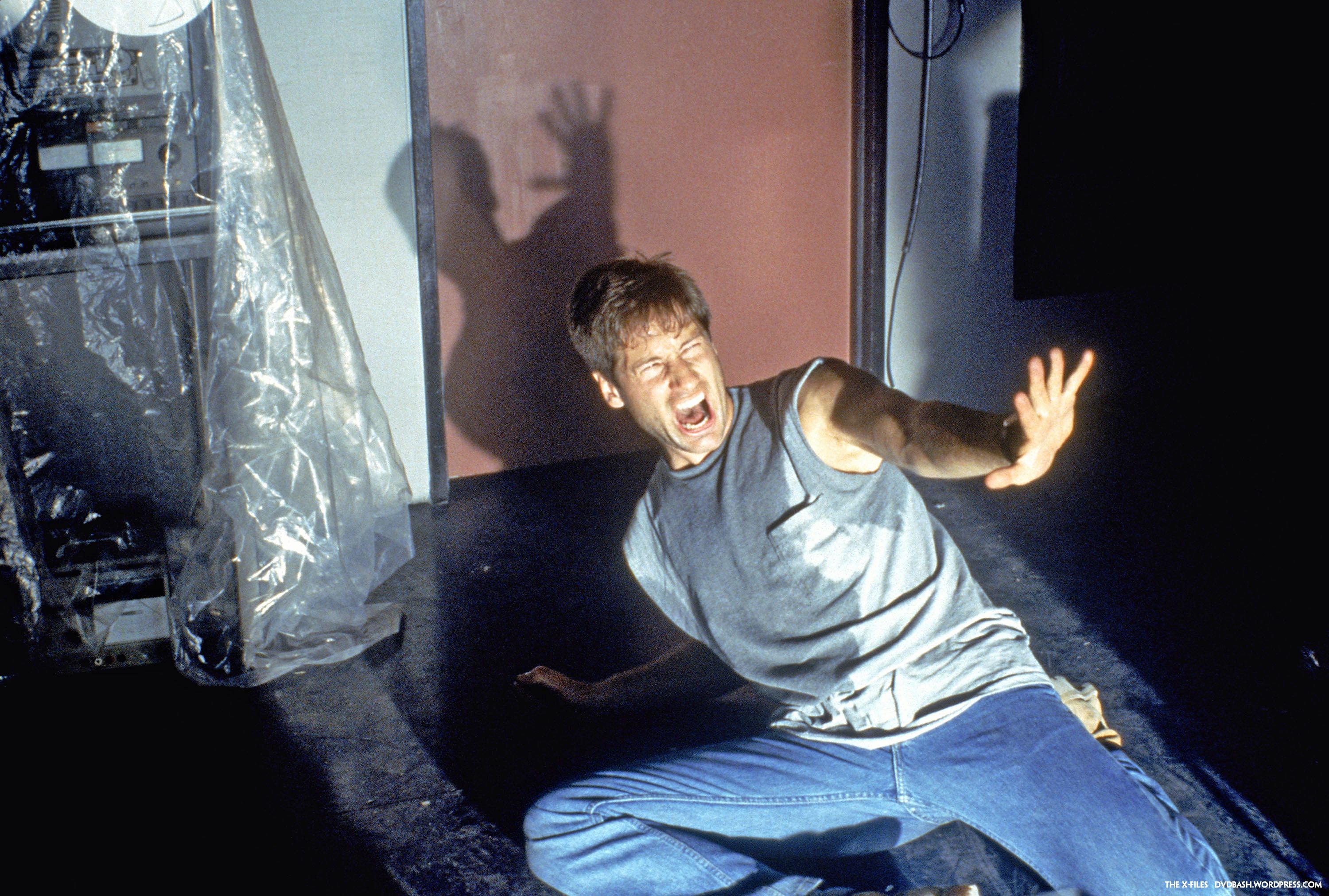 x-files-s2-duchovny-mulder-wallpaper1