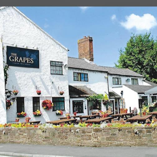 51575918_555898971486593_3684005904631463936_n