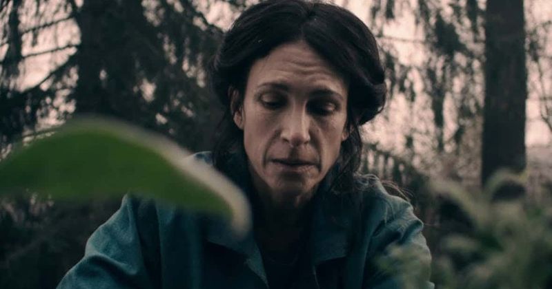 2c561180-a1c8-11e9-8028-db6b07132b4b_800_420