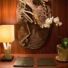 0746344750b2bb8be54fc472c1291748--jurassic-park-world-menus