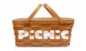Picnic_temp_logo-1024x731