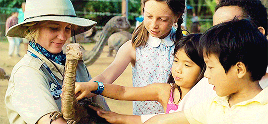 tumblr_nqmsy2wokb1qim9hqo3_540