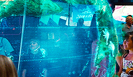 tumblr_nyiebrUA4C1tc05ego6_400